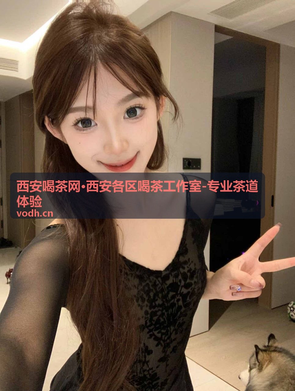 西安雁塔区喝茶工作室专业茶道体验